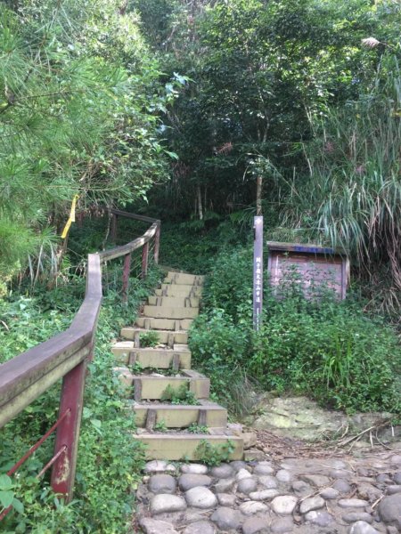 20181026-大凍山初登444953