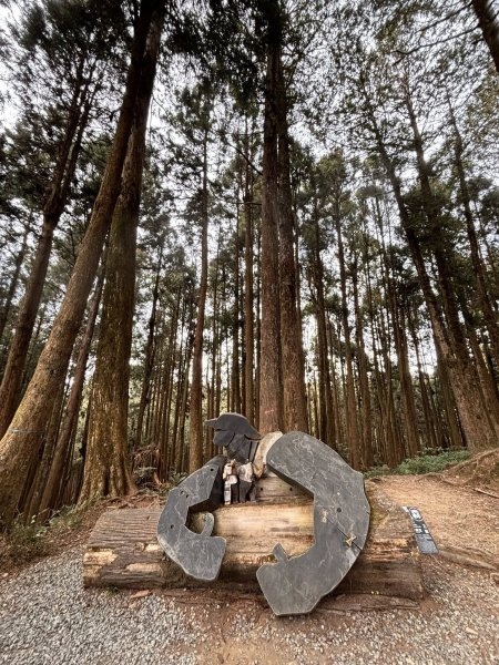 20260212回嘉遊的大塔山2999909