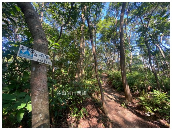 烏尖連峰縱走18基石 ( 唭哩岸山、軍艦岩、丹鳳山 )2980898