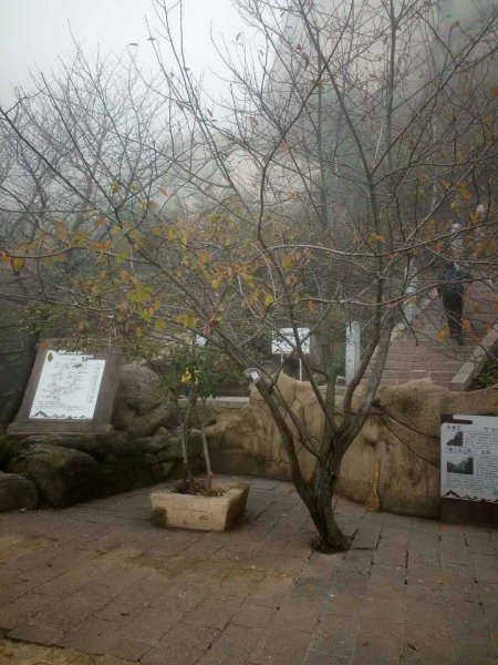 20171011 青島嶗山2001413