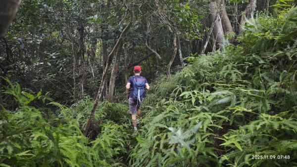 20251109 士林站到大湖站(福山宮_腰繞_燕溪古道_翠山步道_龍船岩_大溝溪)2932320