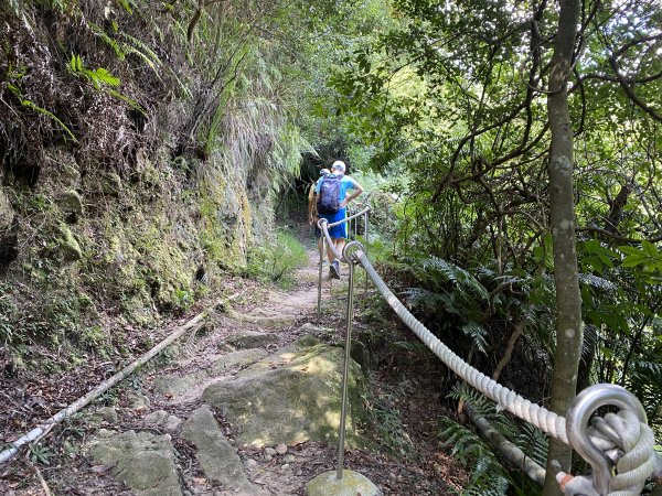 《五指山古道 × 石盤瀑布 × 友蚋山南峰 × 柯子林天然泳池｜尋訪山林古道與靜謐日式庭園》2922999
