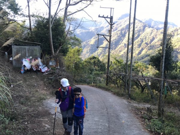 谷關三雌之白冷山517381