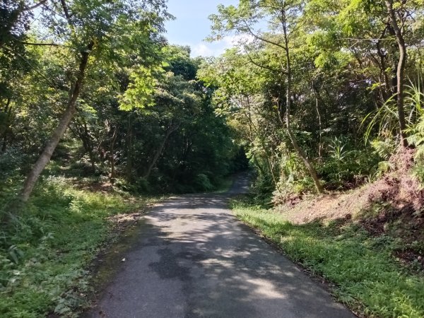 汐止區金明山B線+如意湖O型2860228