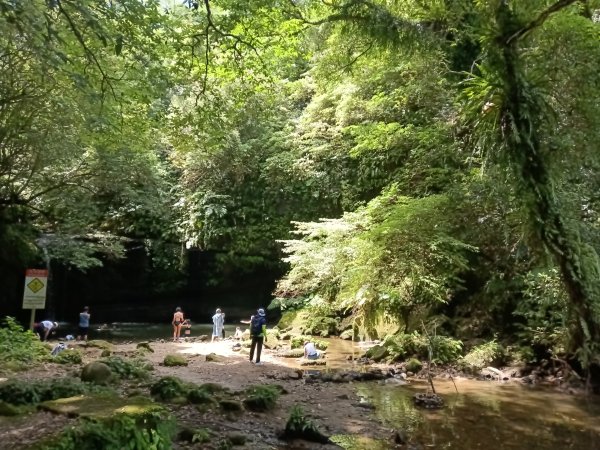 平溪區嶺腳步道+望古坑保甲路+嶺腳寮山+望古賞瀑步道(瀑布)+望古坑古道2825904