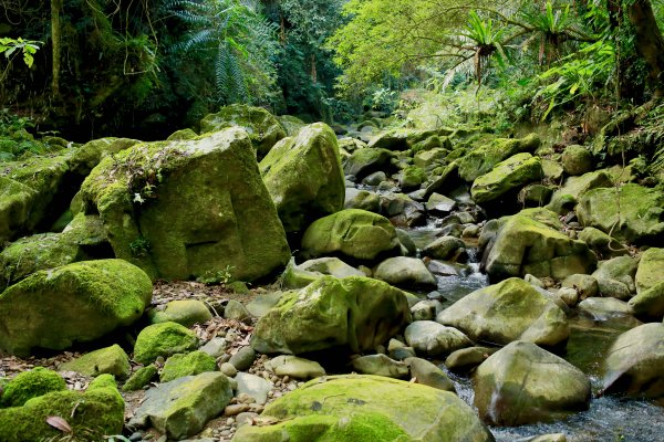 南坪古道：油羅溪上游814434