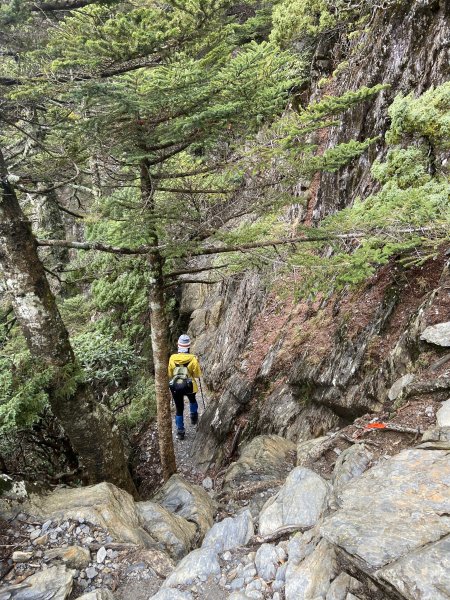 20230515-16玉山前西峰+遠望雨中的主東北2436693
