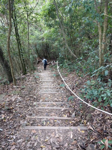 新竹五指山(小百岳#30)登山步道《五指連登》2020/11/211426079