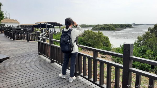 《台南》滄海桑田｜台江內海與黑面琵鷺野生動物保護區2675447