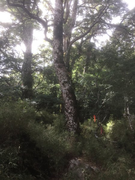 20211218高雄庫哈諾辛山1588318