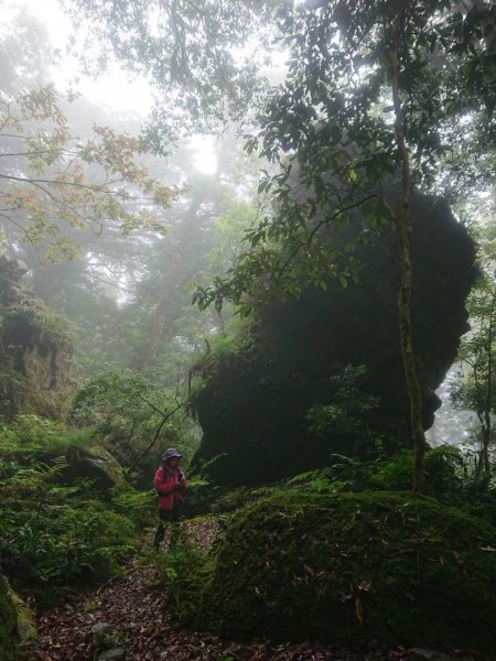 福巴越嶺古道（檜山、山車廣山）O走1725458