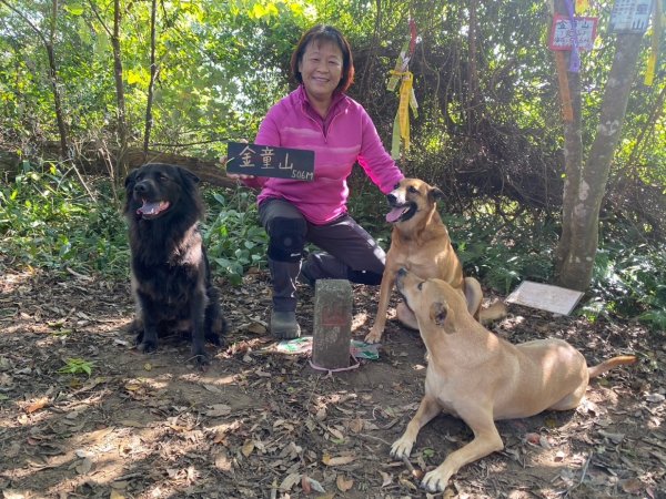 苗栗金童山、玉女山、汶水山2672910
