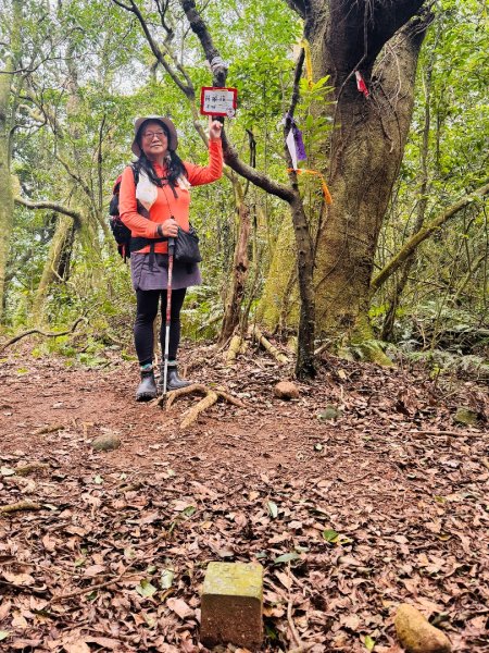 登峰古圳訪高頂山 北五指山 出荷蘭古道 快閃聖人瀑布2981980