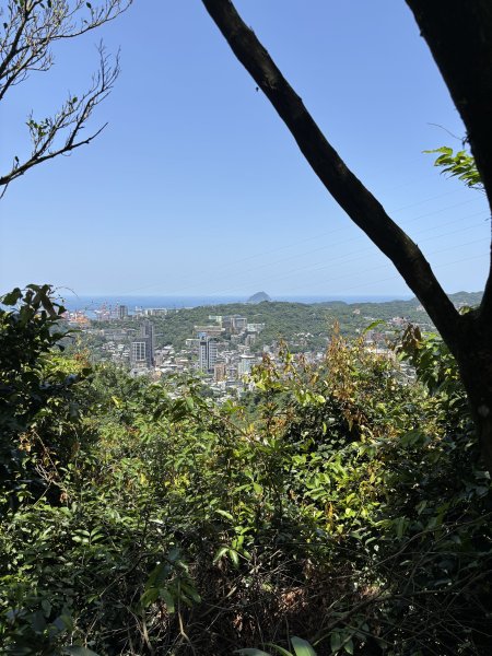 紅淡山3043537