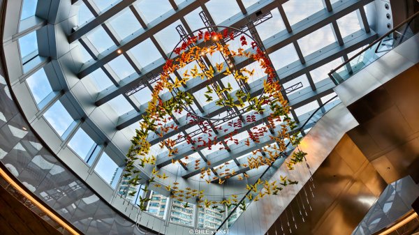 【海外健行】香港四徑 The Four Trails3031672