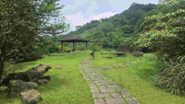 20250523千階嶺步道-平湖東西步道-乾坑古道2796211
