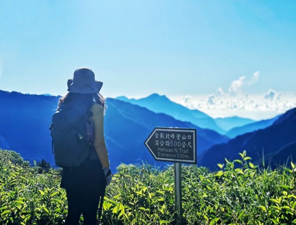 合歡北峰 盛夏之美2544941