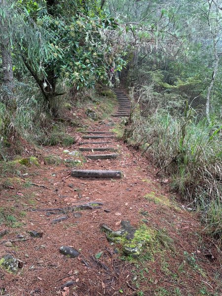 風雨中上東埔山2260928