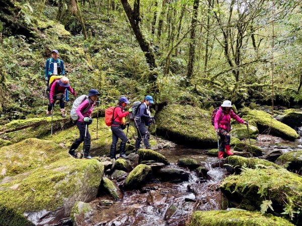 復興赫威神木2748207