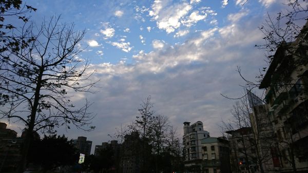 東湖樂活公園賞櫻 2017.02.04140603