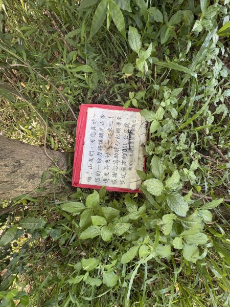 20250816高雄旗尾山2914604