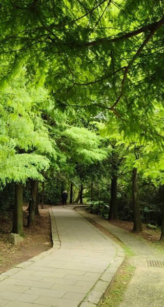 尋訪四國八十八番 石佛（藥師釋迦如來）觀音山石佛-弘法大師-水濂洞山-林安泰古宅2814390