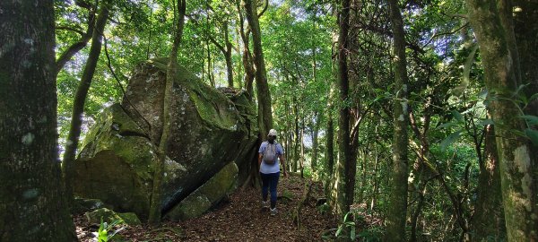 2025/09/29_仙山群峰2897341