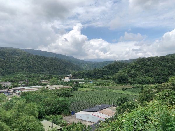 ~  中 山 茶 園 步 道  ~2580961