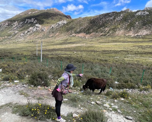西藏♥️可愛動物🐎人物寫真/拉薩旅拍/美食2902961