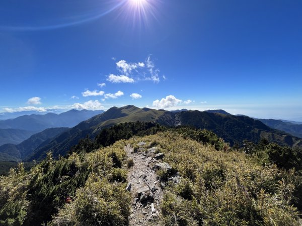 雪山西稜 2023_1105(D4B) 奇峻山2341916