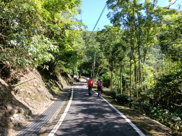 坪林區南豹子廚山+豹子廚古道+北豹子廚山2900470