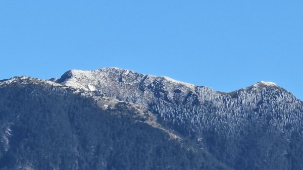 大雪山國家森林遊樂區賞楓／看神木／賞雪白山頭／賞大景2974200