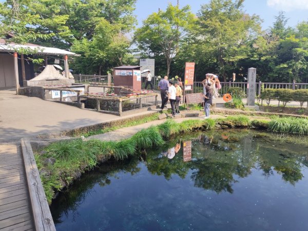 忍野八海3089672
