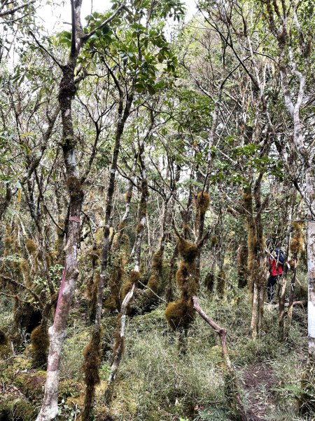 魔幻森林三星山與三星池1658338