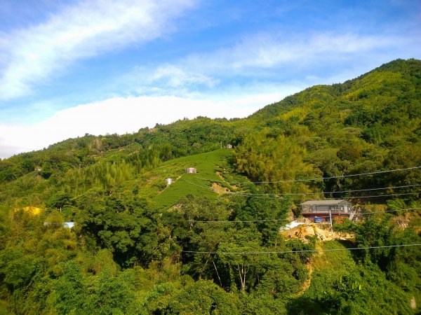 雲嶺之丘-石壁遊龍湖步道(石壁仙谷)1186410