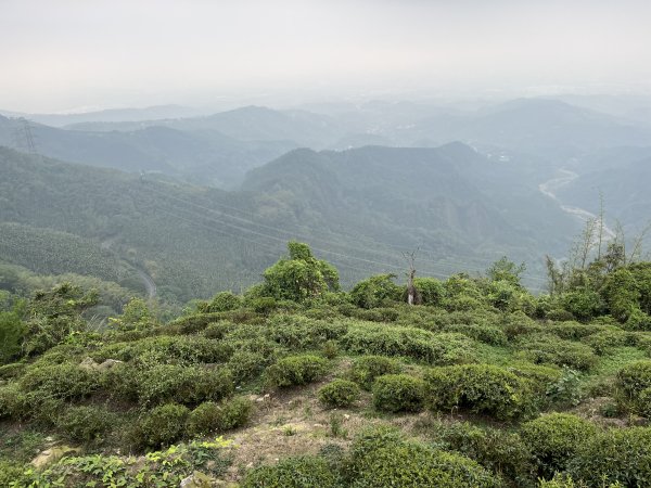 2023_0429_挑筍古道2138223