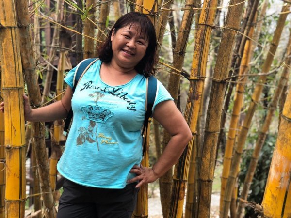 八仙山國家森林遊樂區527115