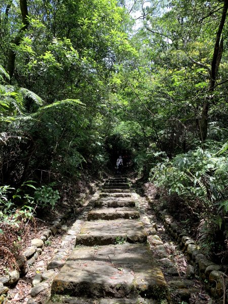 210430-臺北大縱走第四段：風櫃口至捷運大湖公園站1371319