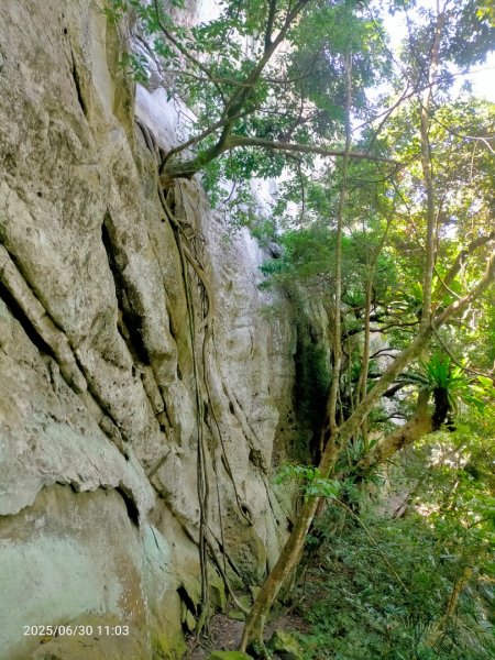 白石湖+打鐵寮古道2824171