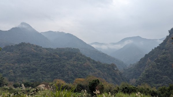 橫龍山、橫龍古道2682944
