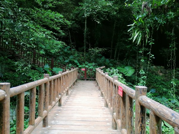 新竹峨眉~小而美的悠閒步道。 水濂橋步道1104180