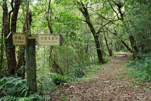 新北 烏來 山車廣山、檜山2567405