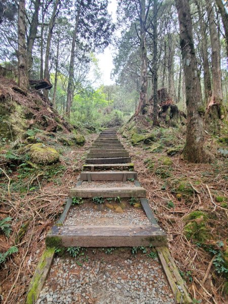 阿里山大塔山899533