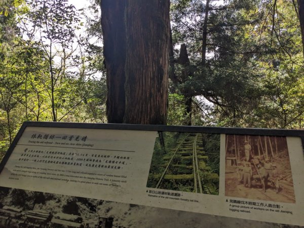 見晴懷古步道3137136