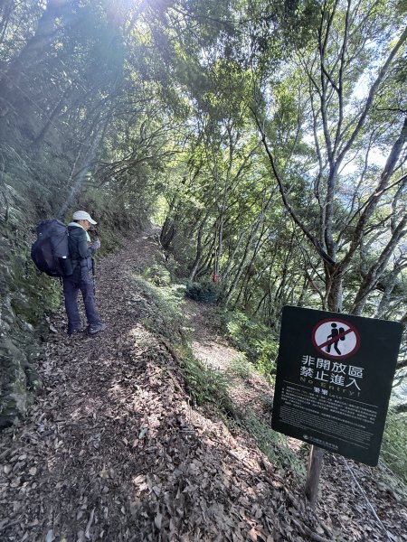 來去郡大坐龍貓公車順登對關山2822332