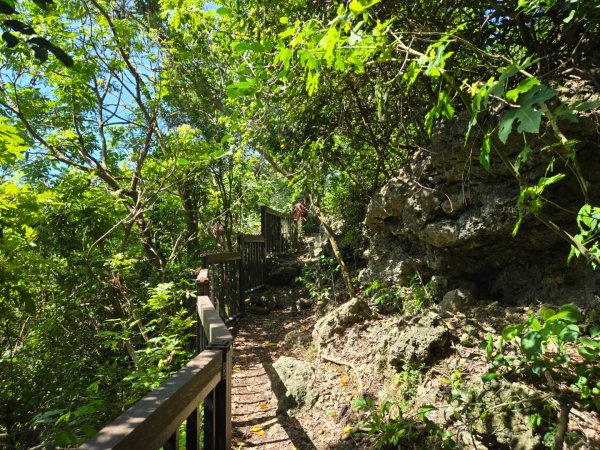 南壽山步道2805683