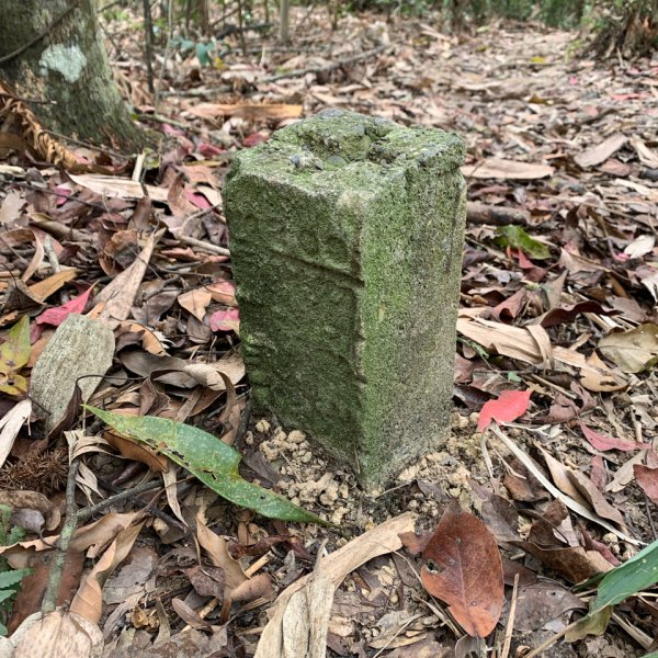 20260207南投雨後頭縱走2998113