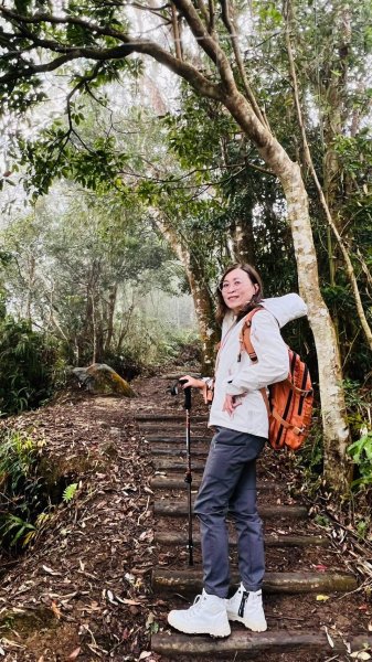 〽️12/25（三）聖誕節~楓紅了🍁~馬拉邦(小百岳)賞楓眺望聖稜線2676380