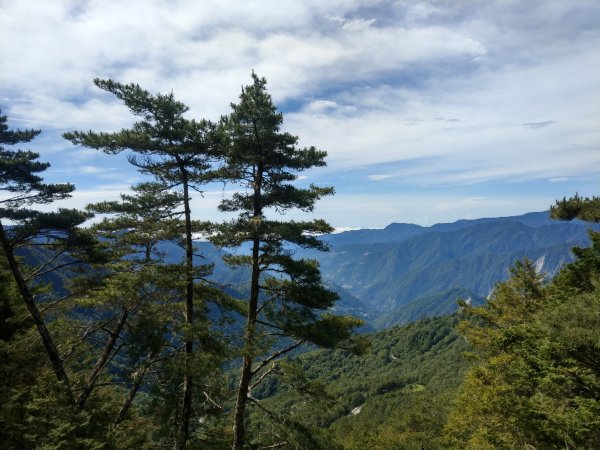 高雄/花蓮/台東-嘉明湖-向陽山-三叉山3053711