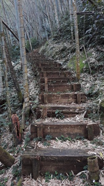 步道巡訪員│四大天王山步道三月巡訪日誌871299